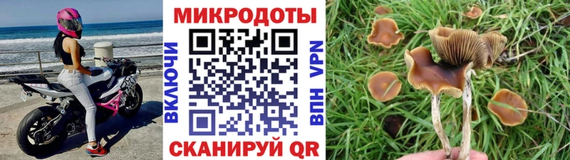 Псилоцибиновые грибы GOLDEN TEACHER  блэк спрут зеркало  Короча 