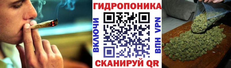 Бошки марихуана AK-47  где купить наркоту  Короча 